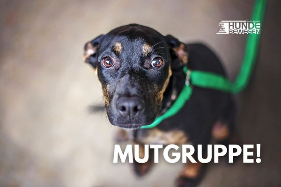 Mutgruppe